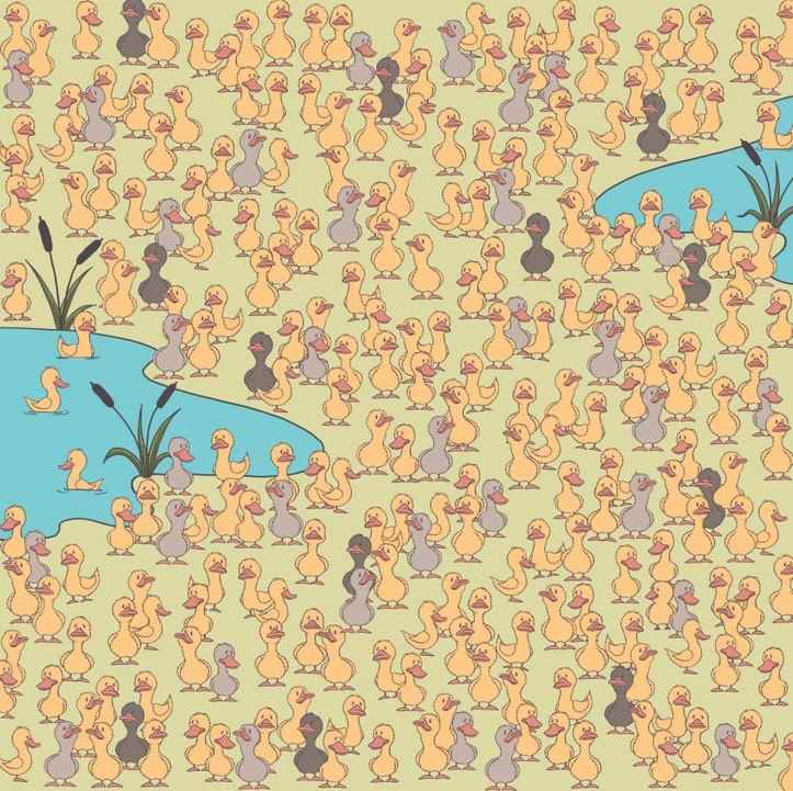 Il mistero e la cosa principale