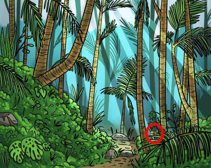 Illusione ottica per unicum: bisogna trovare una tigre nella foresta in 9 secondi