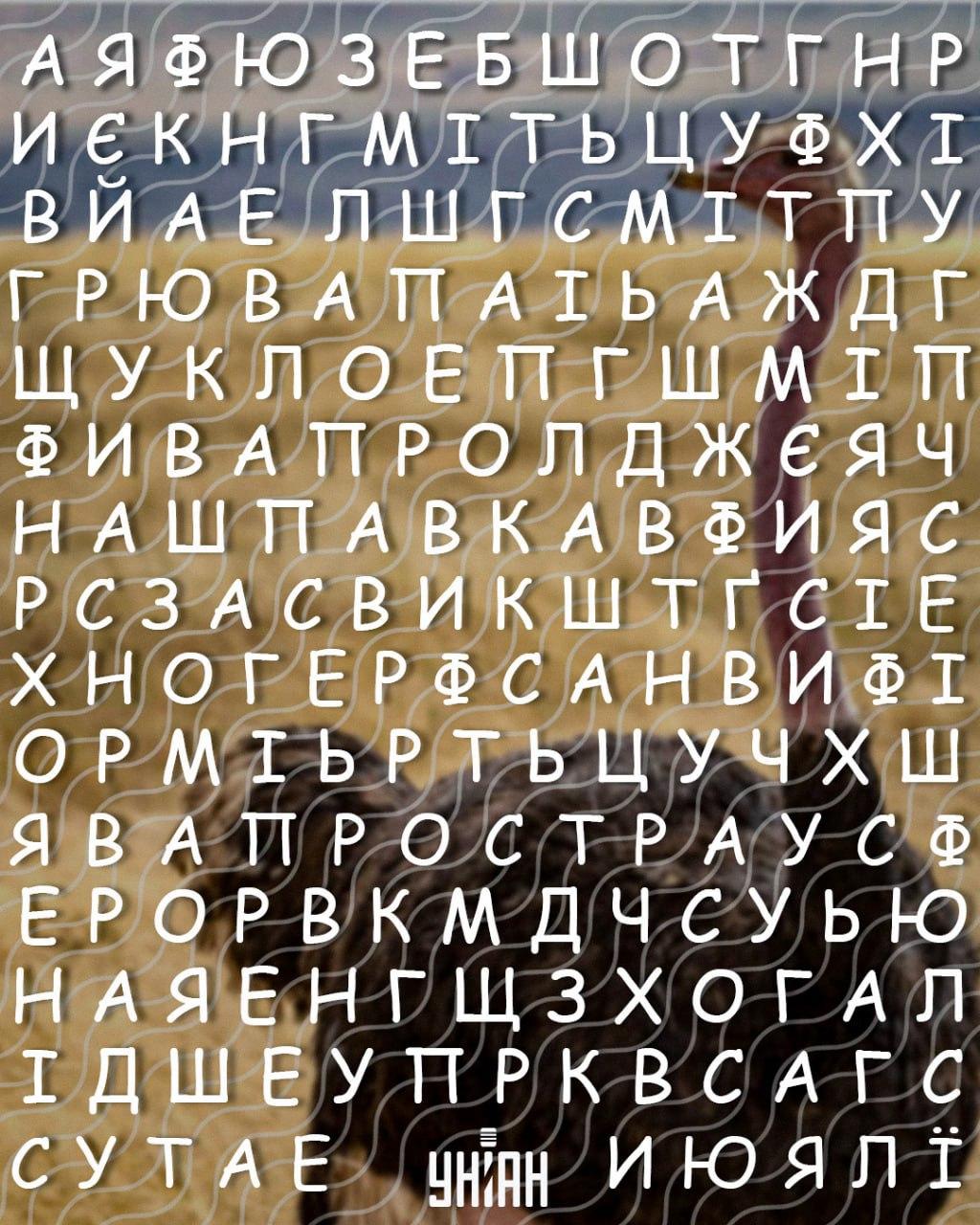 Solo le persone con un alto quoziente intellettivo riescono a trovare la parola 'struzzo' in 10 secondi: un difficile rompicapo Solo le persone con un alto quoziente intellettivo possono trovare la parola