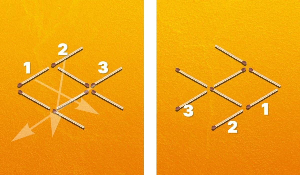 Devi spostare tre fiammiferi per girare il pesce a destra / collage Moje