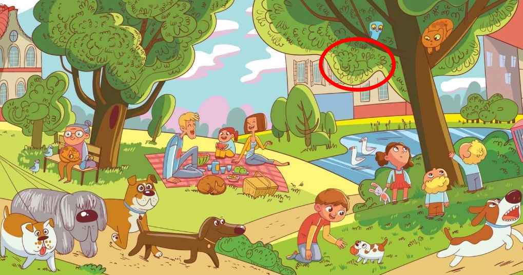 Questo è un compito che solo poche persone sono in grado di svolgere: bisogna trovare il leone nel parco in 6 secondi.