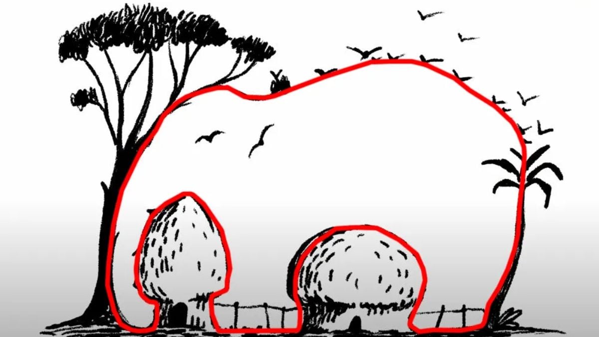 Soluzione dell'illusione ottica