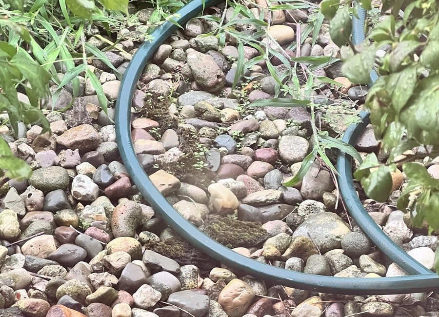 Illusione ottica: trovare la rana nascosta