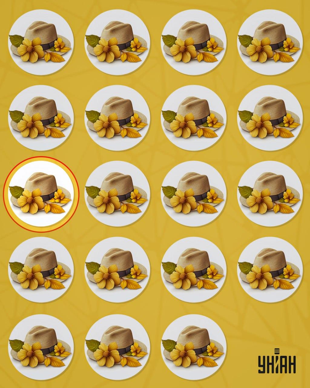 Il cappello strano si distingueva dagli altri per un piccolo dettaglio / collage Moje