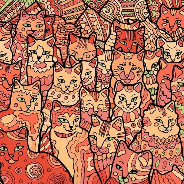 Illusione ottica per persone con una vista d'aquila: bisogna trovare una stella tra i gatti