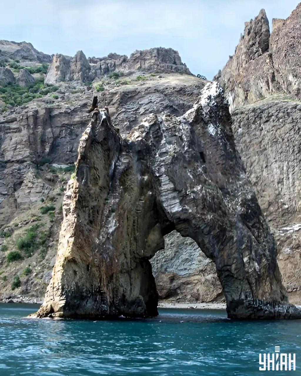 Ci vogliono meno di 10 secondi per trovare l'aquila nell'immagine del puzzle / collage con la foto Moje