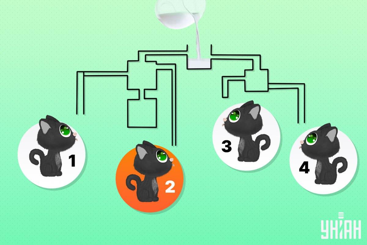 Il gatto fortunato era il numero 2 / collage Moje