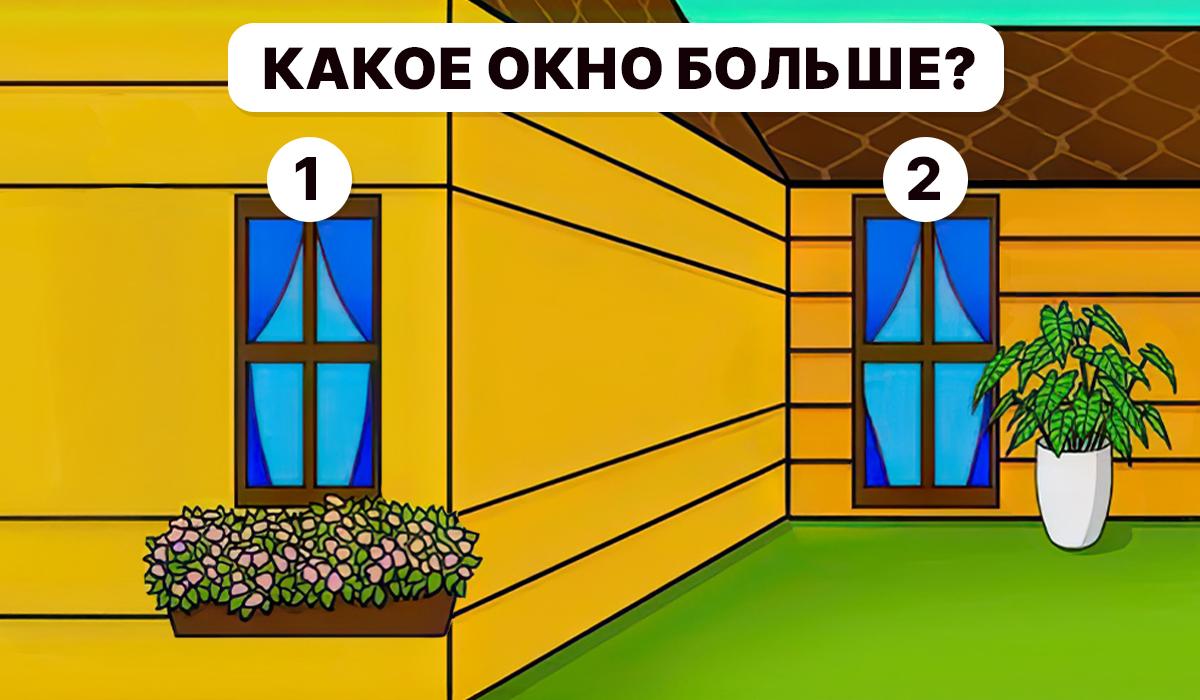 È necessario capire qe finestra è più grande / Collage Moje