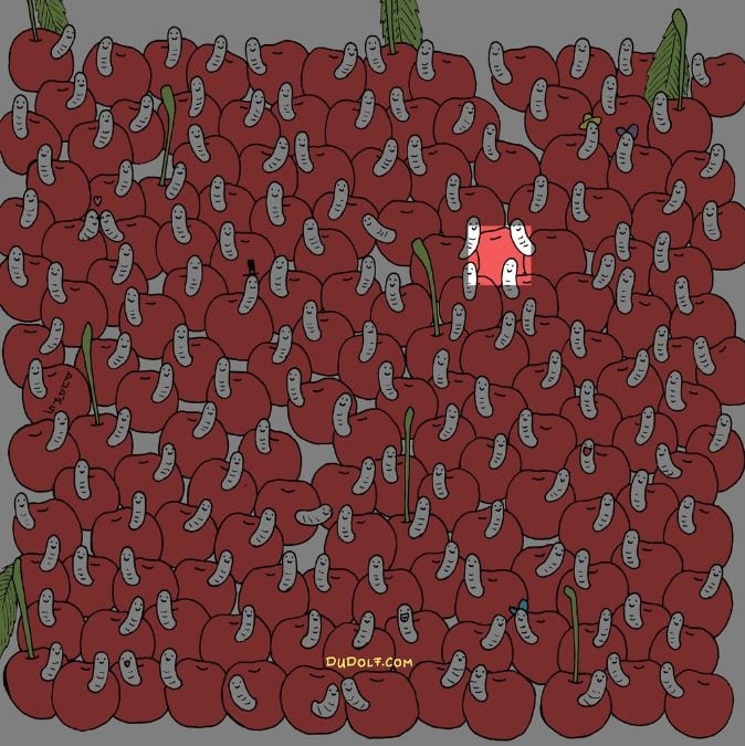 Puzzle per gli occhi d'aquila: trovare la ciliegia senza il verme in 30 secondi