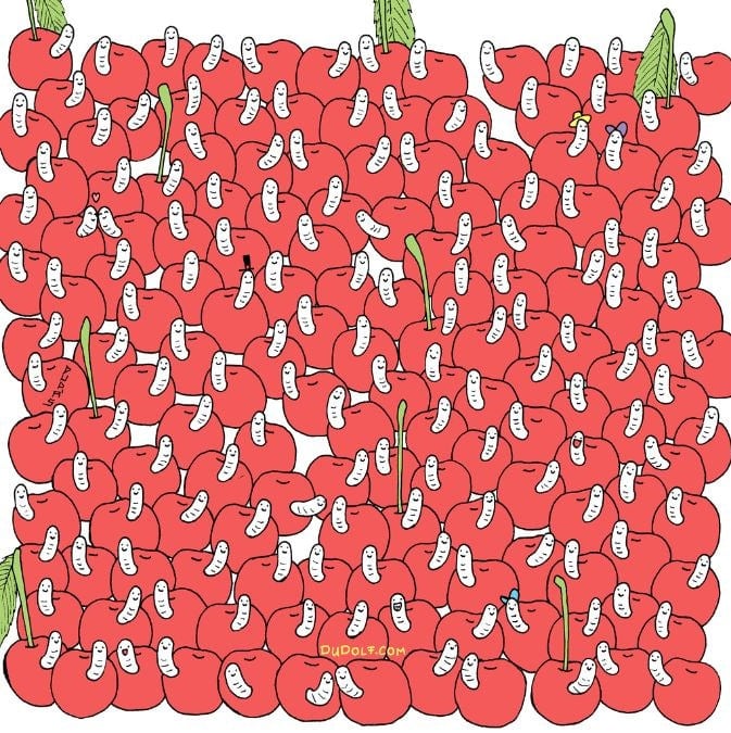 Enigma per gli occhi d'aquila: trovare una ciliegia senza vermi in 30 secondi