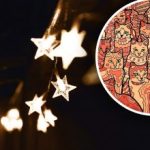 Illusione ottica per persone con una vista d’aquila: bisogna trovare