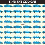 Si può “rompere” il cervello: solo i geni possono risolvere