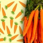 Solo chi ha una “vista d’aquila” troverà la “strana” carota: