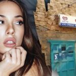 Solo un genio potrebbe trovare un cane per strada in 7 secondi: una complessa illusione ottica Solo un genio potrebbe trovare un cane per strada in