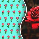 Solo un genio troverebbe una strana rosa in 5 secondi: un indovinello per mettere alla prova la vostra attenzione Solo un genio troverebbe una strana rosa in 5 secondi: