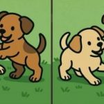 Test del QI: trovare 3 differenze nelle immagini di due