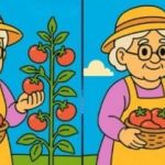 Test del QI: trovare 3 differenze nelle immagini di una