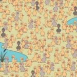 Un rompicapo per il divertimento e l’intraprendenza: devi trovare un